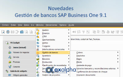 Novedades SAP Business One 9.1 – Gestión de bancos