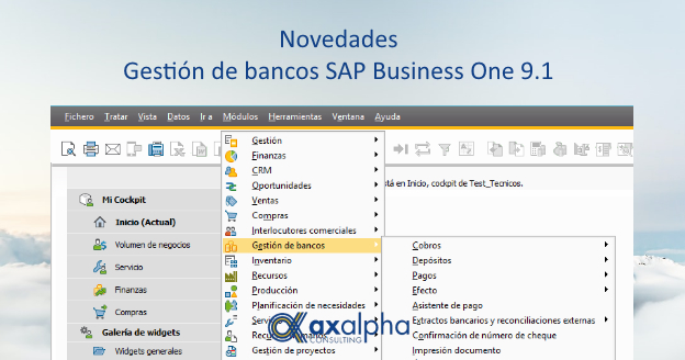 Gestión de bancos SAP Business One
