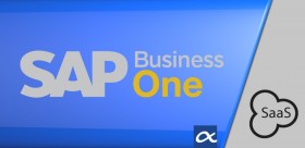 SAP Business One opción alquiler