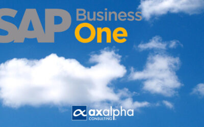 ¿Por qué Sap Business One en Cloud?