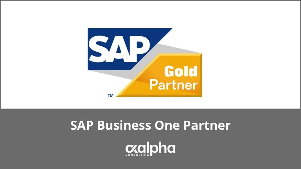 SAP partner