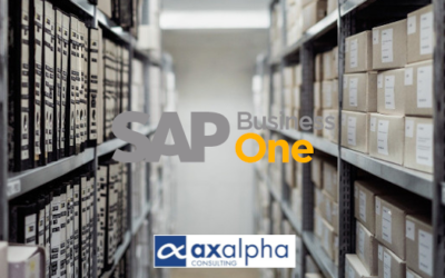 SGA para SAP Business One