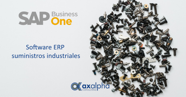 Vertical suministros industriales SAP Business One