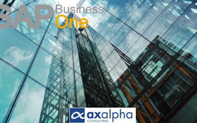 SAP Business One 10