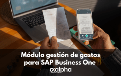 Tickets de gastos SAP Business One