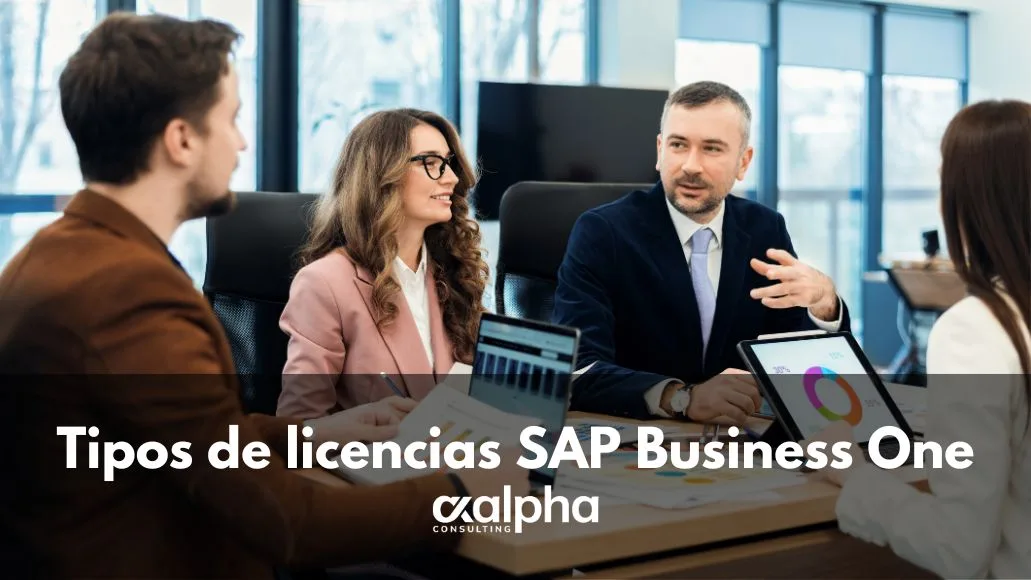 Tipos de licencias SAP Business One