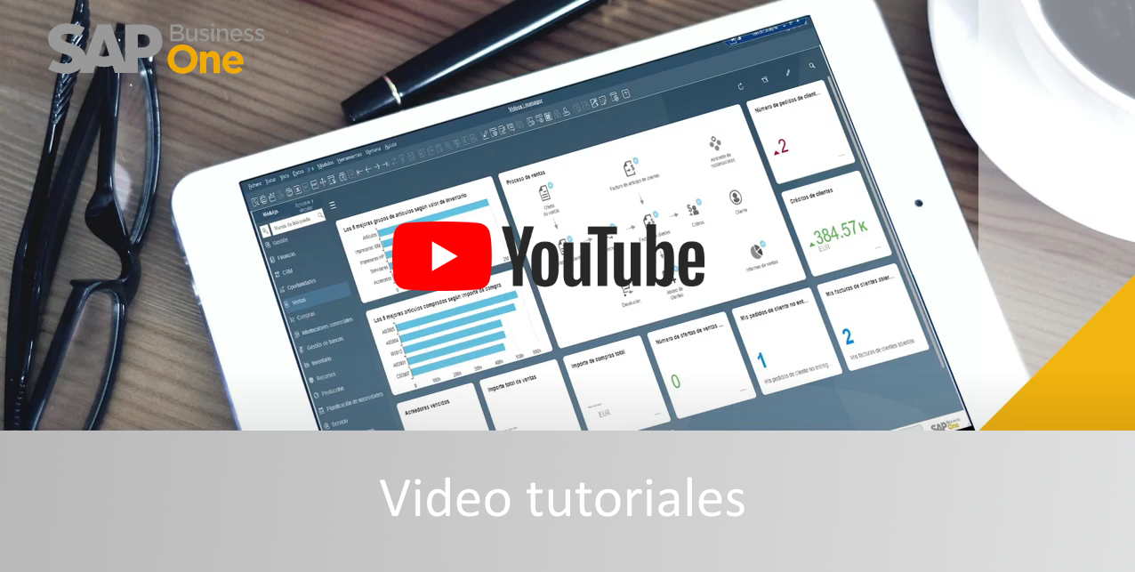 Video tutoriales SAP Axalpha