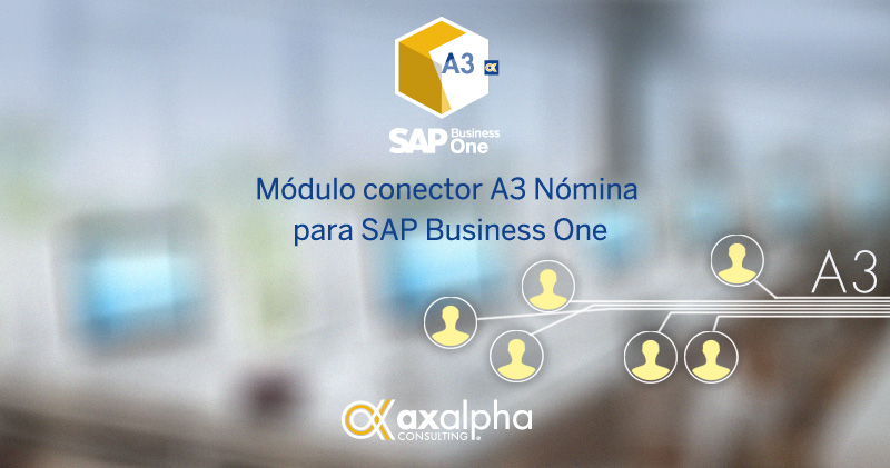 A3 nónima SAP Business One